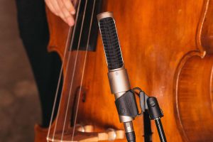 Hero-N22-Upright-Bass-Close