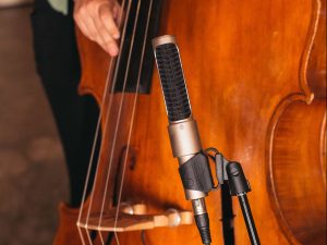 Hero-N22-Upright-Bass