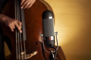 Hero-R84-Upright-Bass